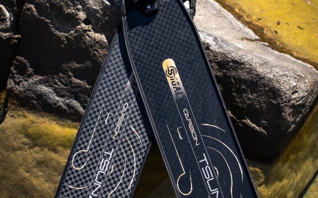 sigalsub-pinne-tsunami-6