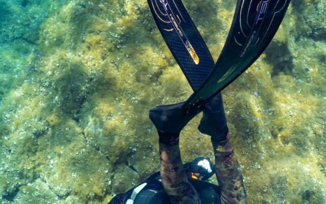 sigalsub-pinne-tsunami-7