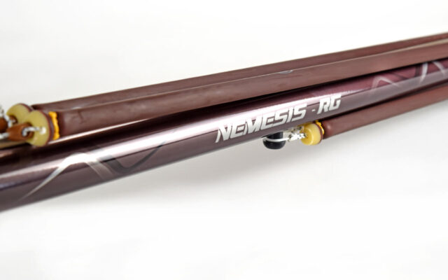 Sigalsub-Nemesis-RG-03