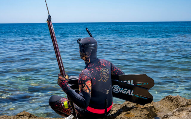 Sigalsub-Nemesis-RG-05