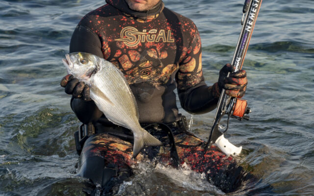 Sigalsub - Nemesis Closed -8